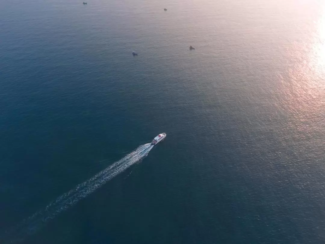 魚釣り・シュノーケリング プライベートツアー（フーコック / カタマランスピードボート利用）