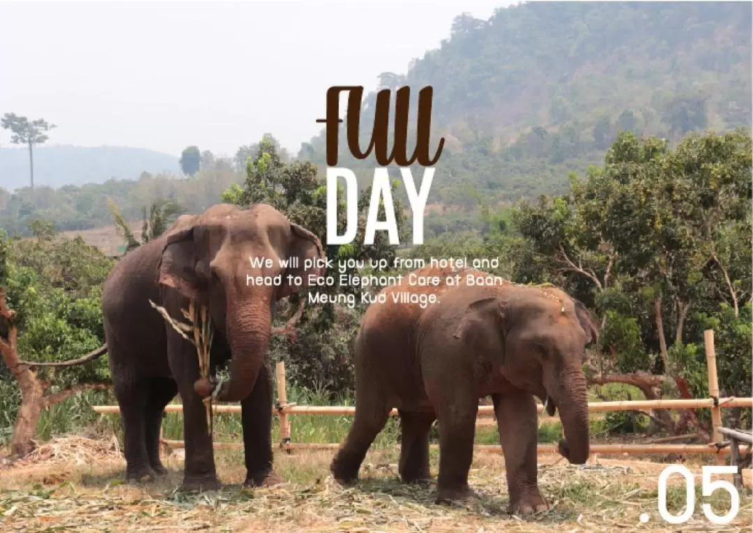 Trek Waterfall, Elephant Sanctuary and Water Rafting in Chiang Mai