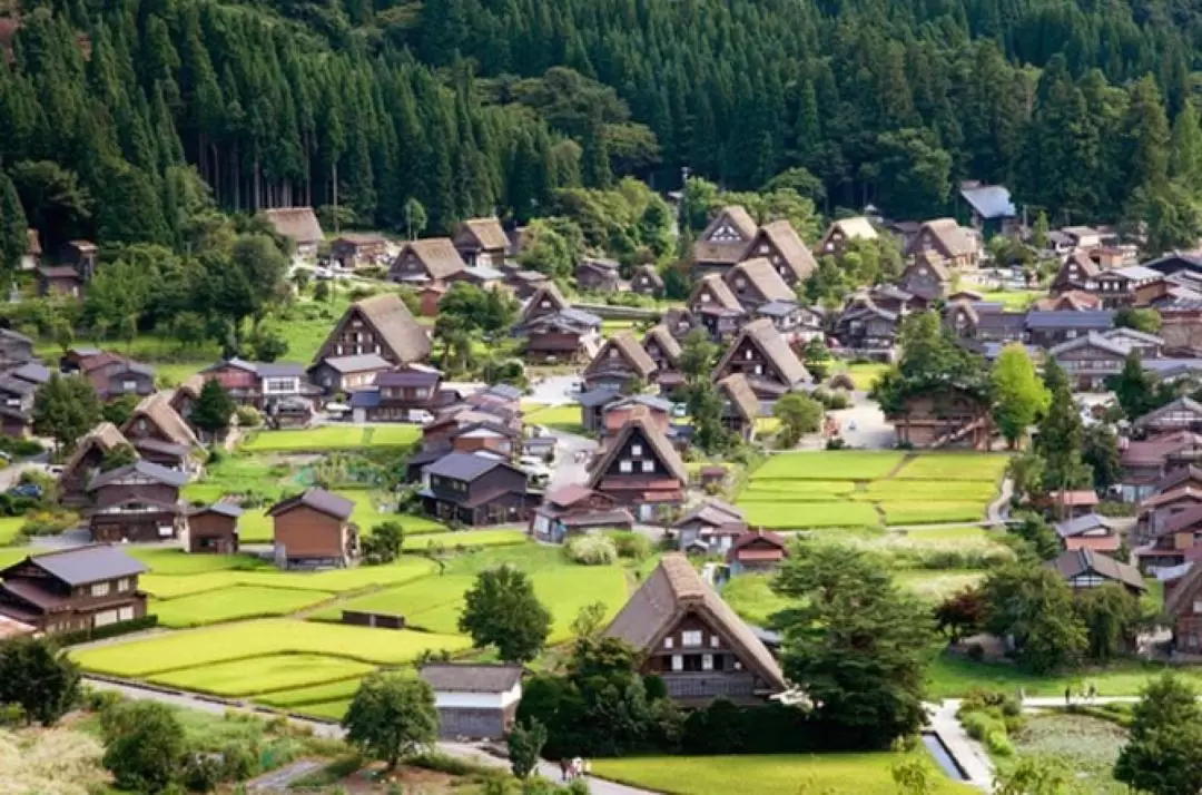 World Heritage Shirakawago and Takayama Private Tour from Nagoya