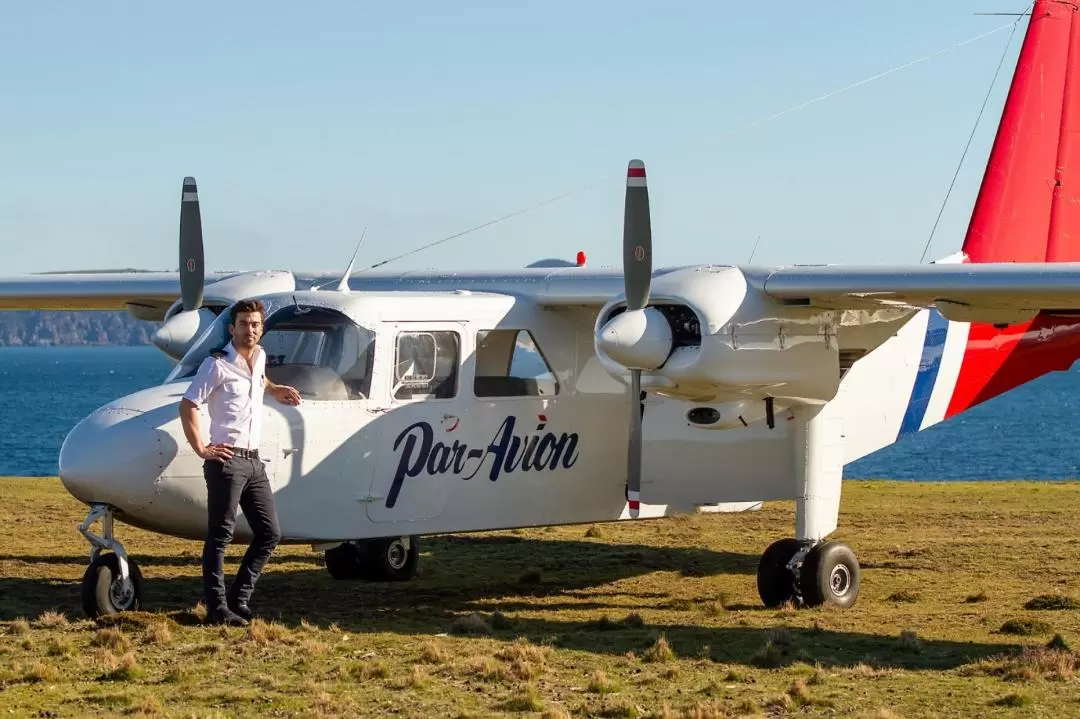 Wineglass Bay and Wildlife Aeroplane Tour from Hobart