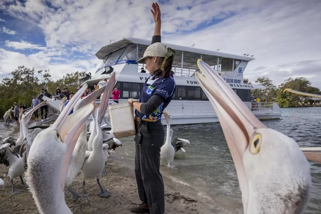 Crab Catching Adventure Cruise from Tweed Heads