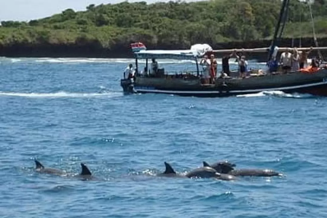 Safari Blue肯尼亞海岸浮潛體驗（瓦塔穆出發）