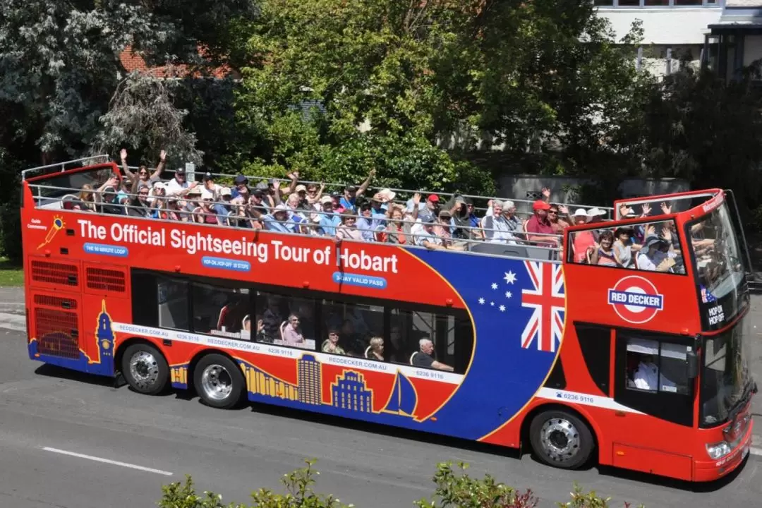 Hobart Hop-On Hop-Off City Loop Tour