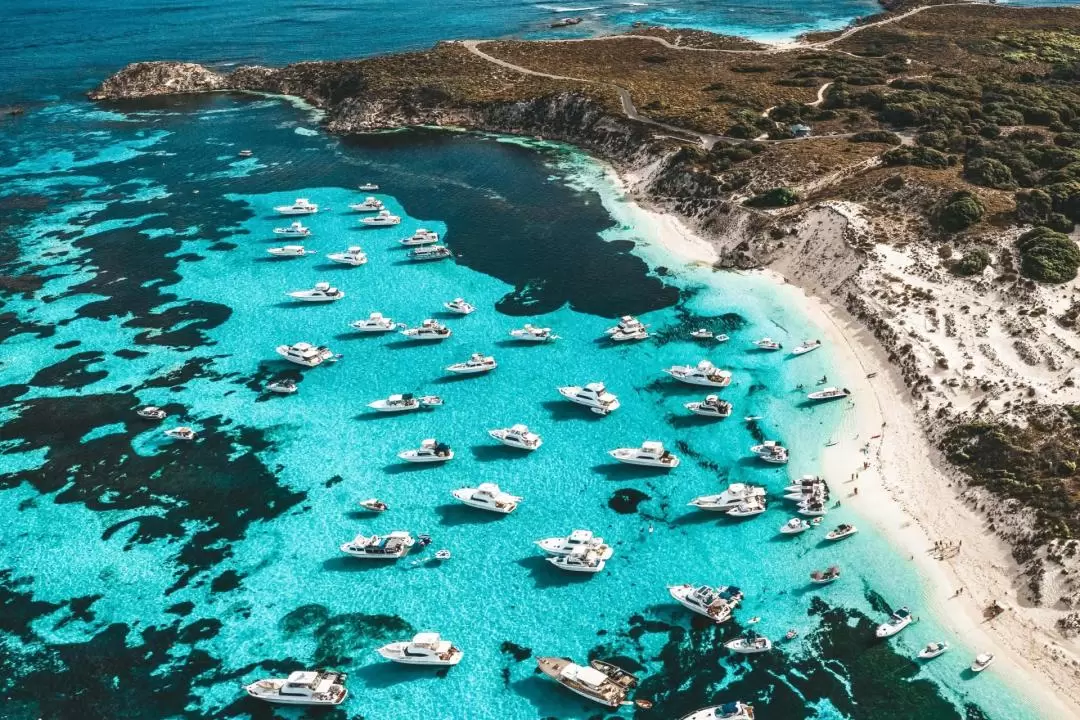 Seaplane Flights to Rottnest Island