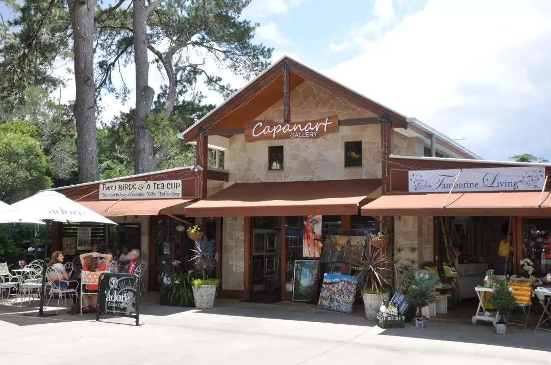 The Tastes of Tamborine Mountain Rainforest Tour