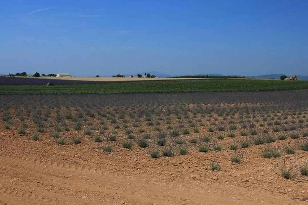 穆斯捷 - 聖瑪麗（Moustiers-Sainte-Marie）& 韋爾東峽谷一日遊（普羅旺斯地區艾克斯出發）