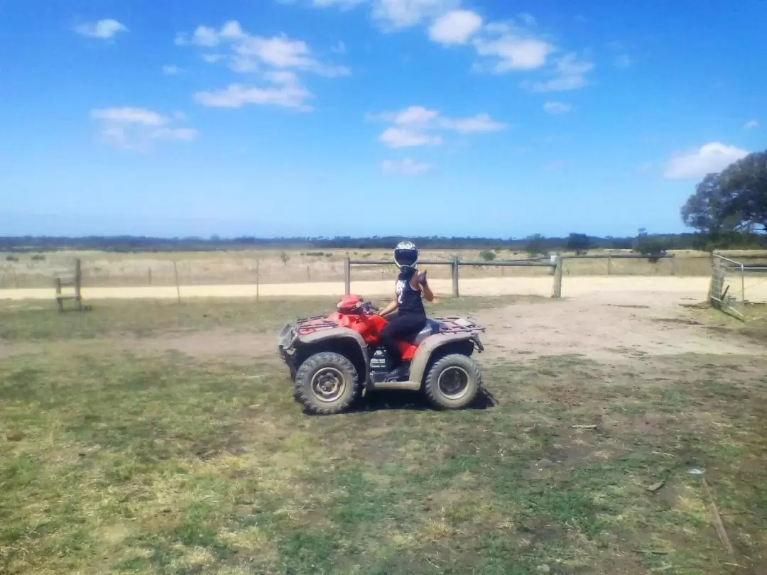 Quad Bike Adventure Tour from Melbourne