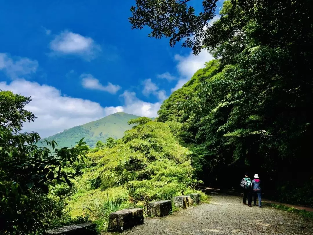 Yangmingshan Private Car Charter