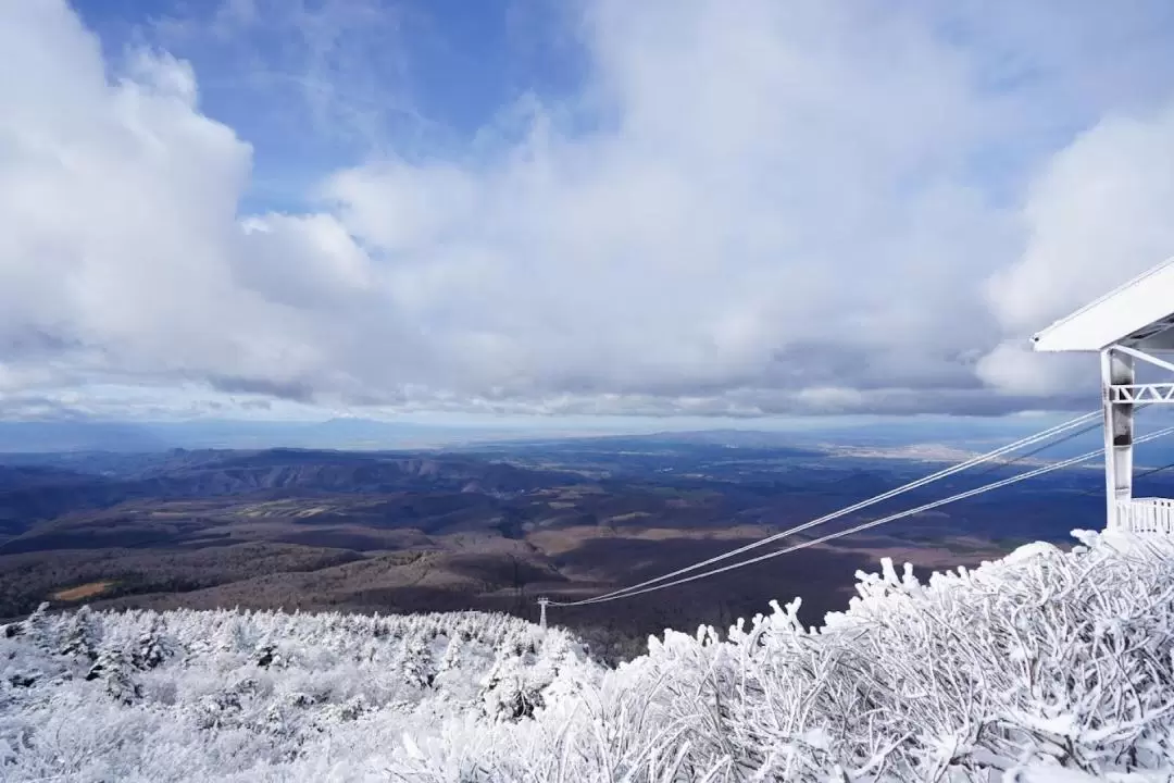 Aomori City, Customizable Chartered Car Winter Day Tour 