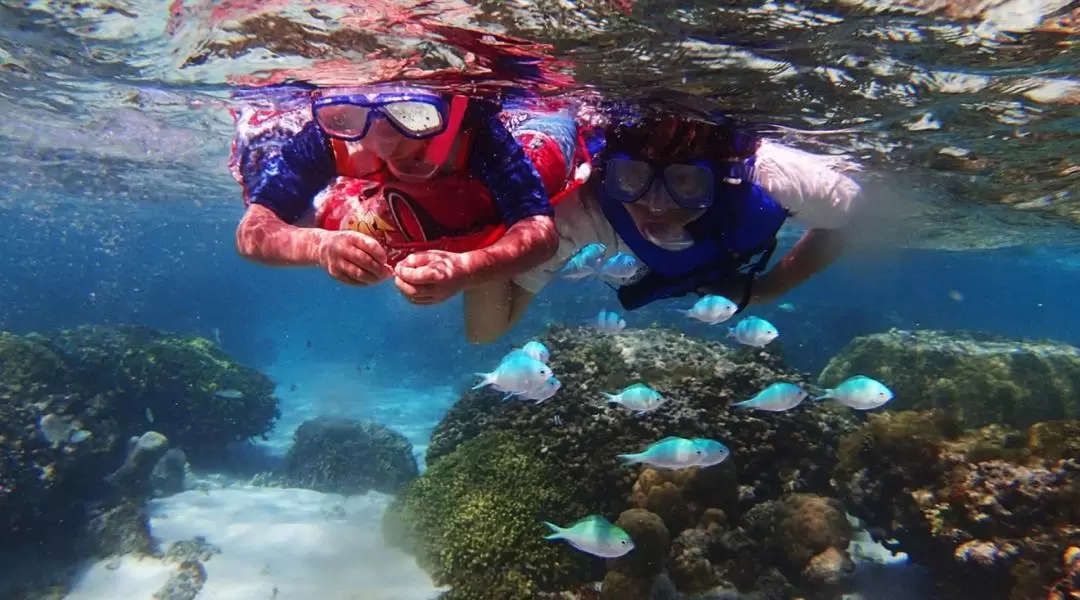 Stand Up Paddle Board Lesson and Guided Snorkeling Experience in Guam