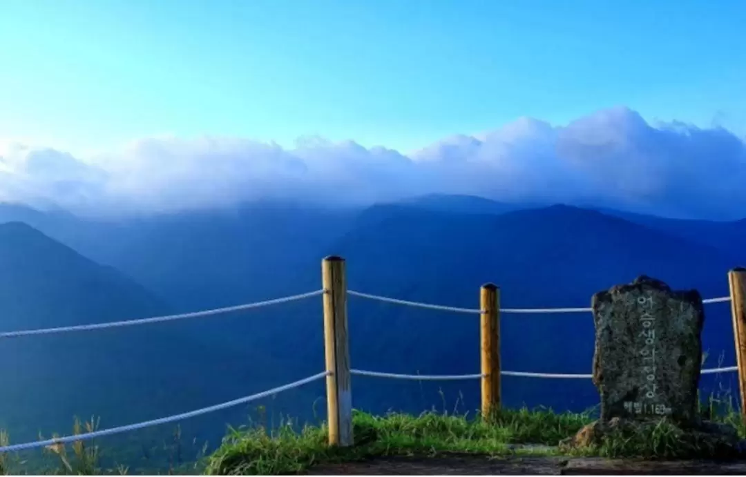 濟州島南部地區私人一日遊