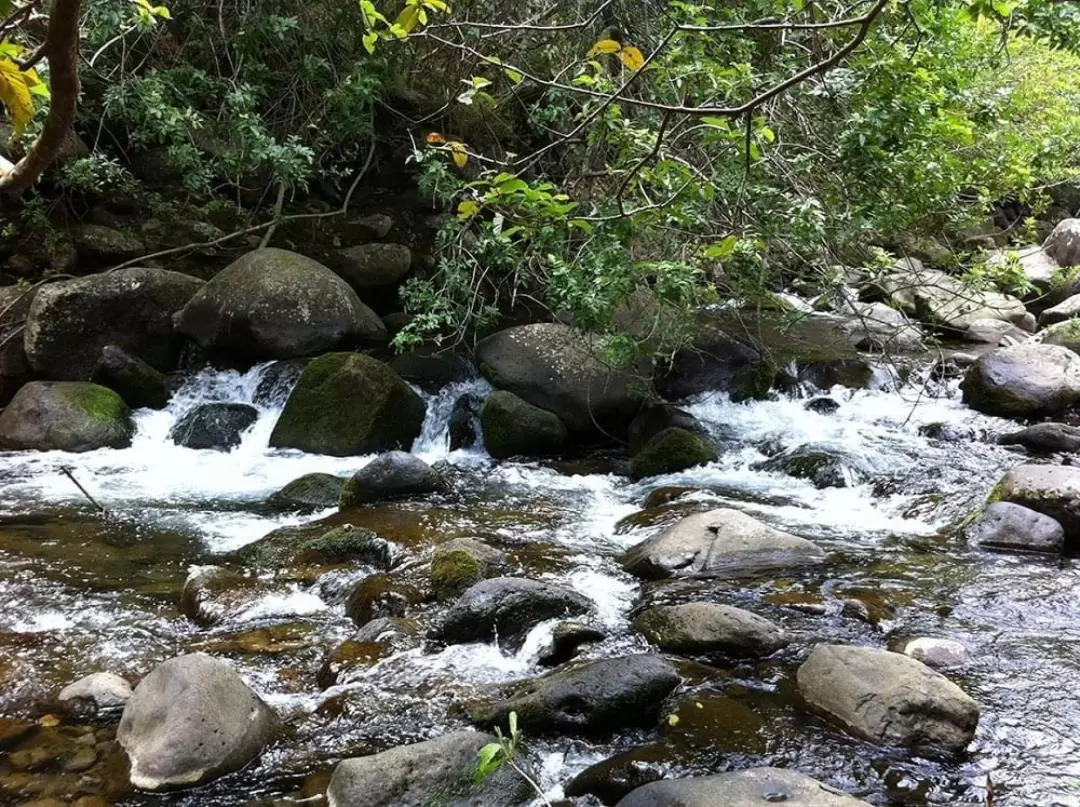 Best of Maui Tour, featuring Haleakala, ‘Iao Valley, and country towns