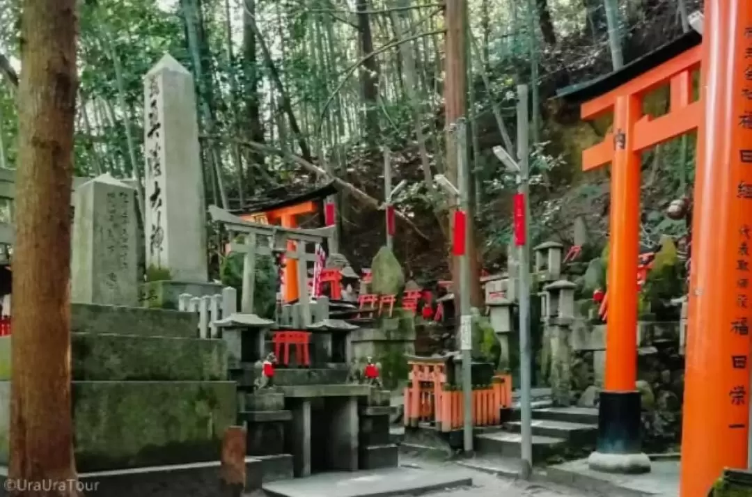 Fushimi Inari Shrine Walking Guided Tour in Kyoto