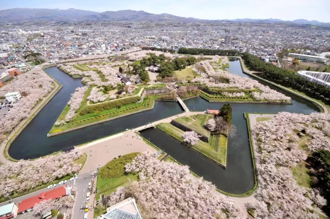 五稜郭タワー 入場チケット（北海道）