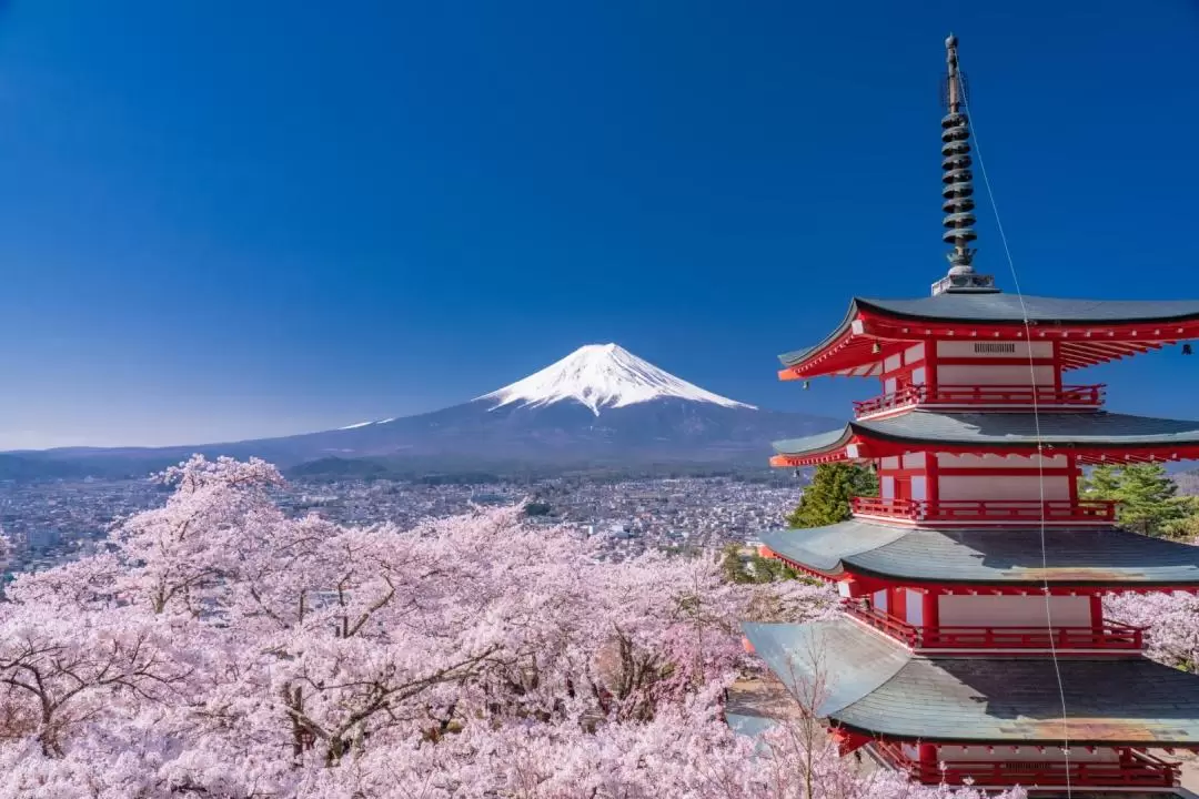 富士山新倉山淺間公園＆傳統日本村莊之旅