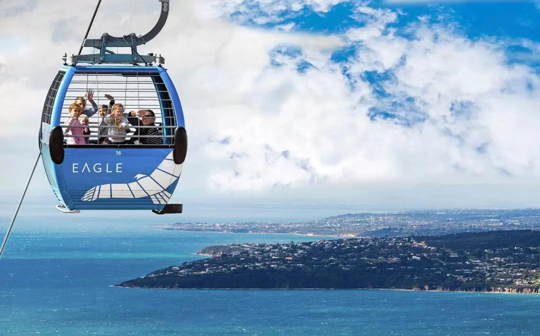 Arthurs Seat Eagle Gondola Ticket on the Mornington Peninsula