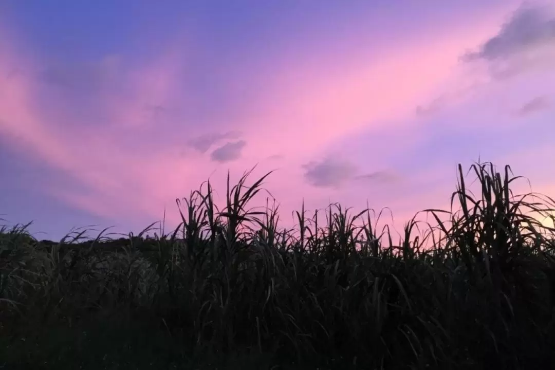 Private Sunset Drone Shooting Experience in Kohama Island, Okinawa