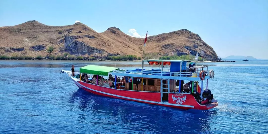 Full Day Dive Trip from Labuan Bajo by Dragon Dive Komodo