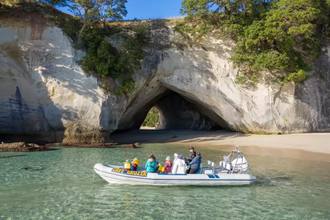 Cathedral Cove Ultimate Boat Tour in Whitianga from Waikato