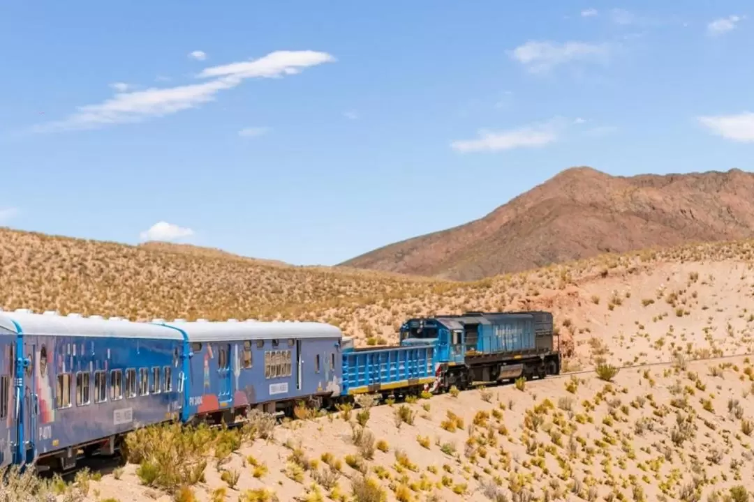 Salta City Train To The Clouds Trip 