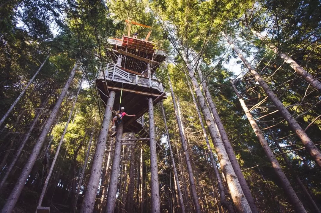 Kereru 2-Zipline + Drop Experience in Queenstown