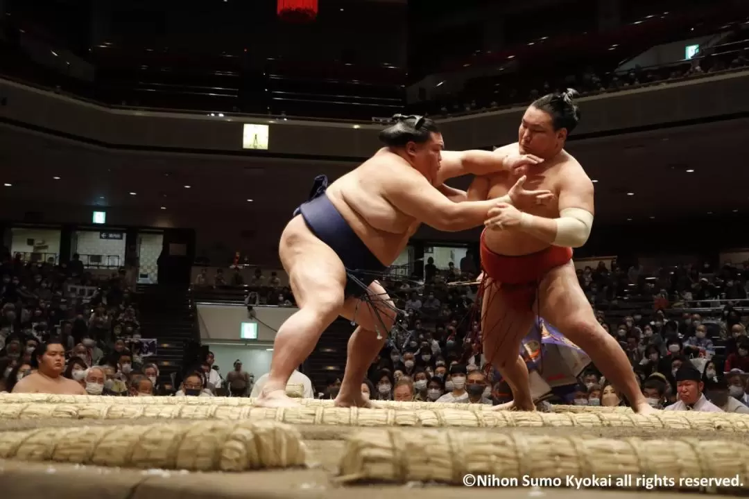 東京大相撲錦標賽觀賽體驗