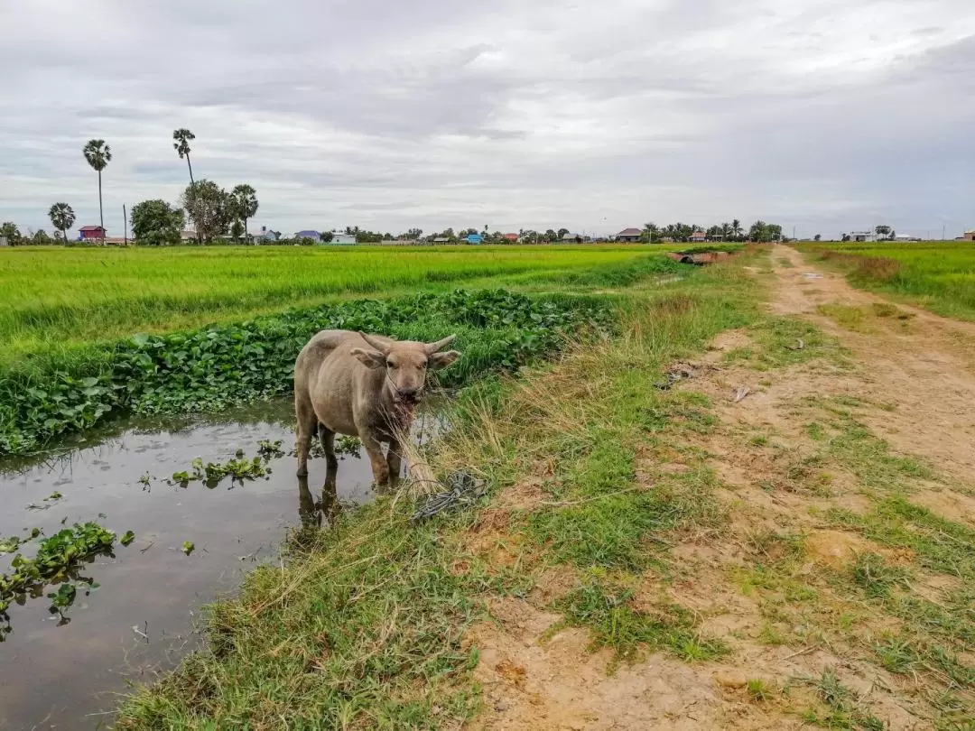 Siem Reap Sunset Ride Tour 