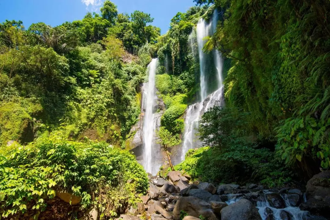 Sekumpul Waterfall Private Day Tour