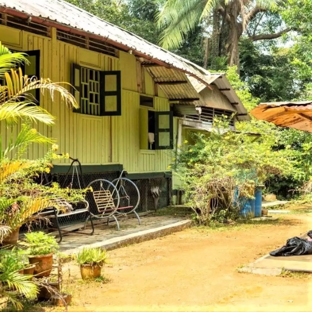 Rustic Ubin and Wetlands Tour in Pulau Ubin and Chek Jawa