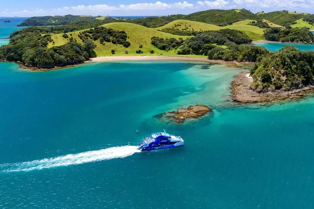 Cream Trip Super Cruise and Otehei Bay Tour from Bay of Islands