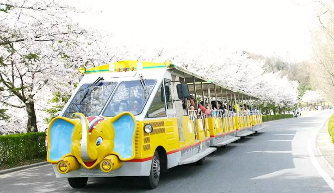 ソウル動物園 入園チケット（京畿道）