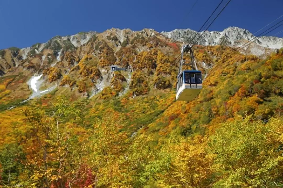 2D1N Autumn Tateyama Kurobe Alpine Route & Kamikochi Tour from Nagoya