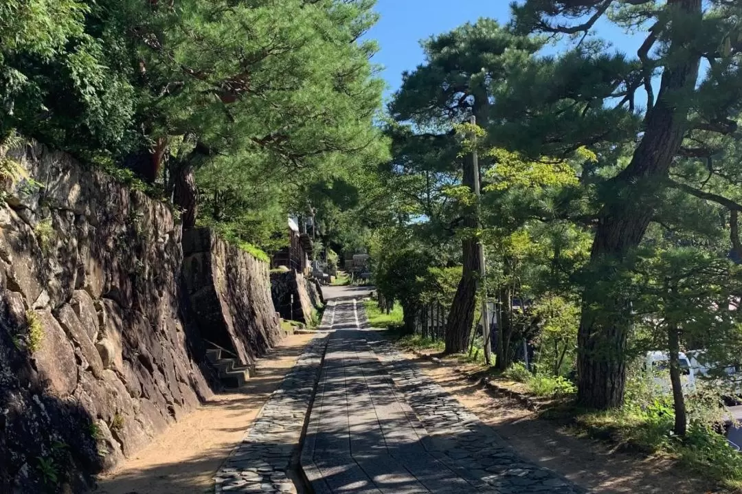 Higashiyama Walking Tour