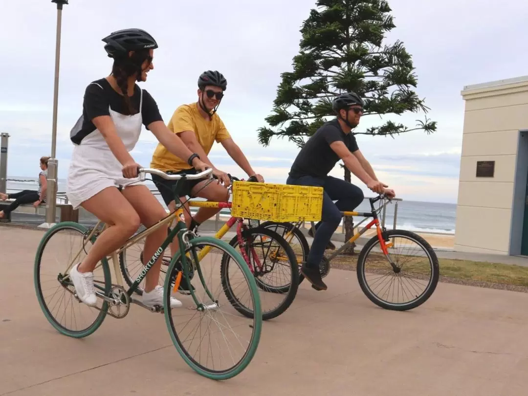 Newcastle Foodie and Art Bike Tour Including Lunch