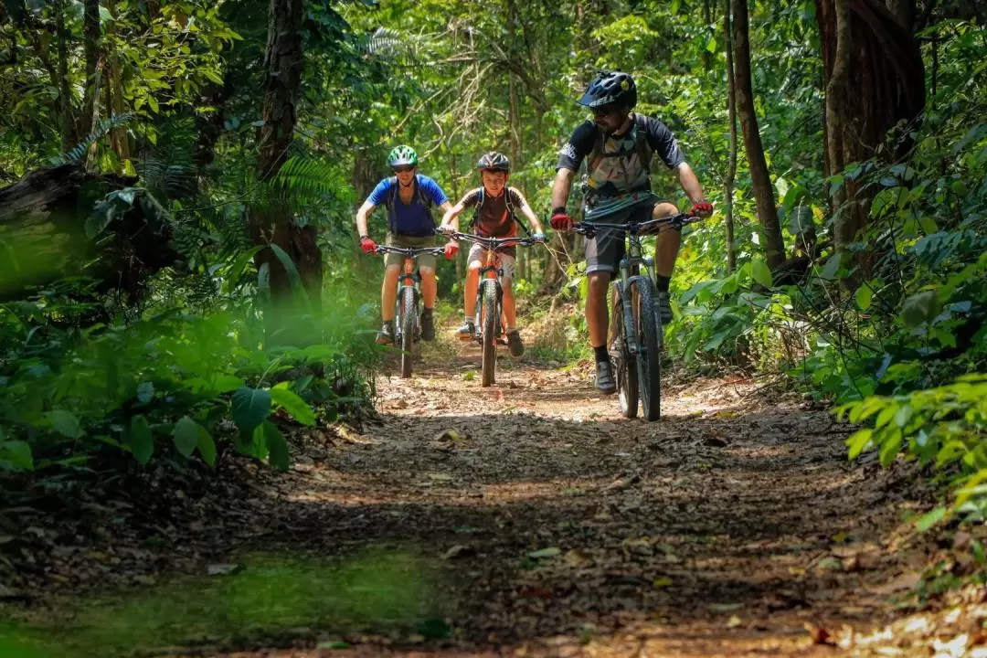 Chiang Mai Sticky Waterfalls Bike Tour by Trailhead