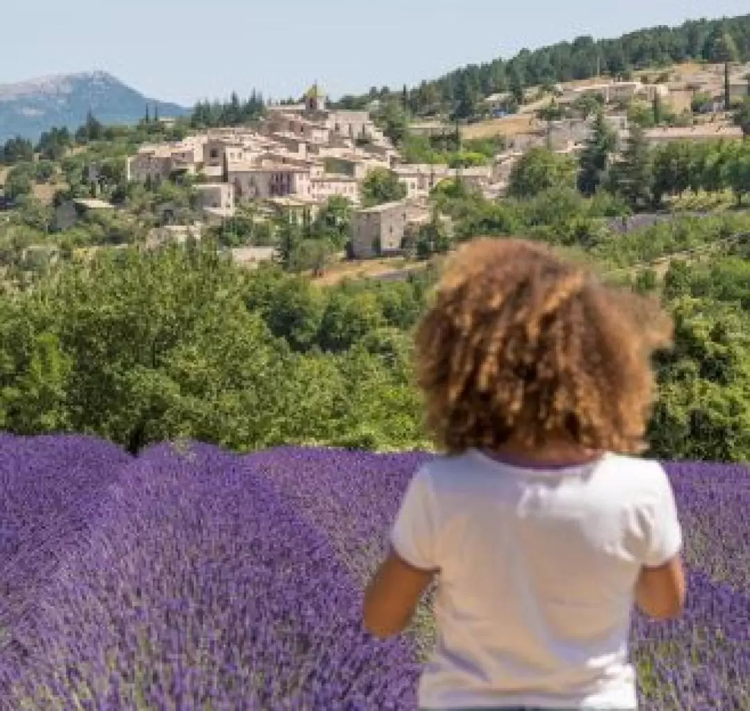 Lavender Full Day Tour from Avignon