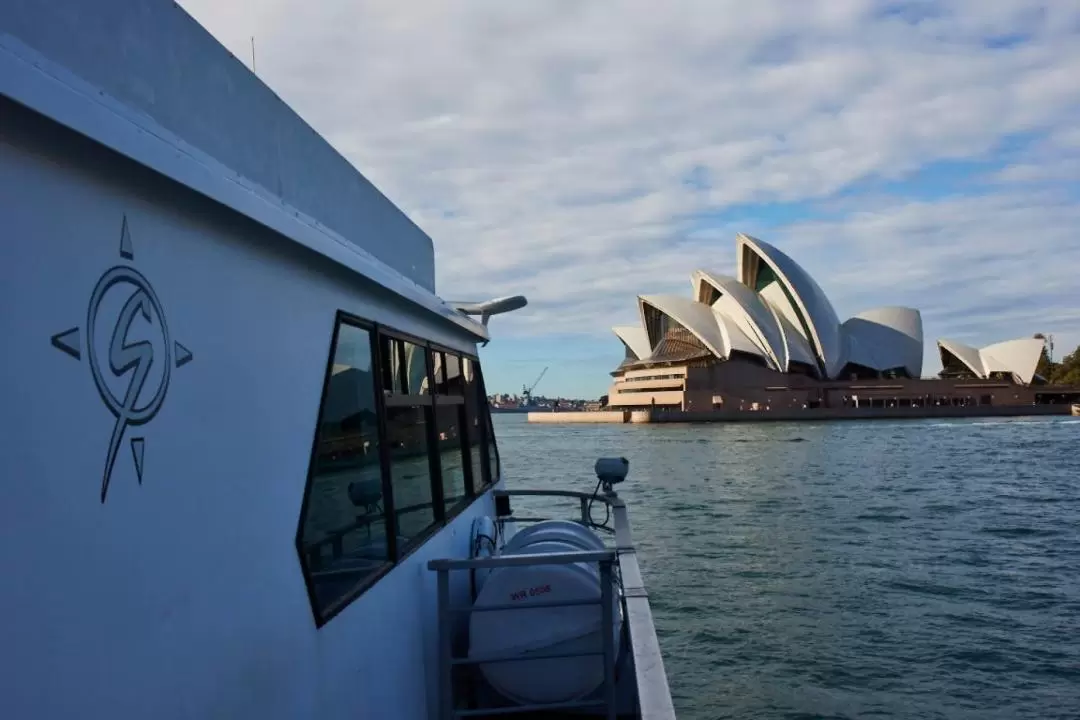 悉尼港燒烤午餐探索遊船之旅