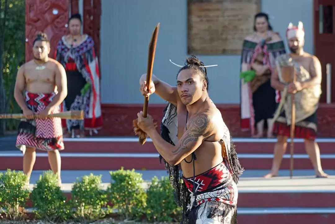 Rotorua Day Tour from Auckland