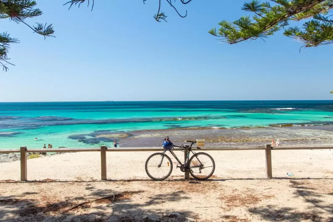 Rottnest Island Ferry and Bike Experience from Perth