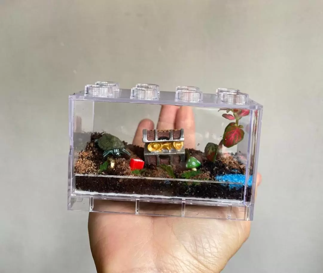 手作班房 - 微景觀植物生態工作坊 Mini Terrarium Workshop｜銅鑼灣