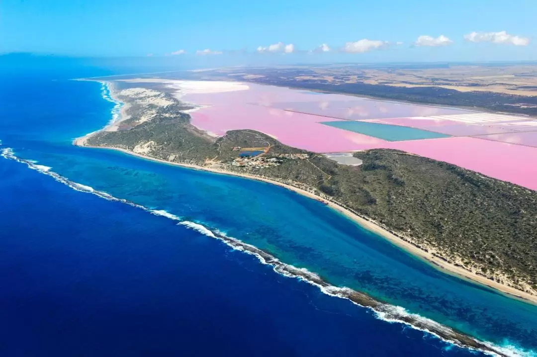 Hutt Lagoon Pink Lake Scenic Flight Experience from Kalbarri 