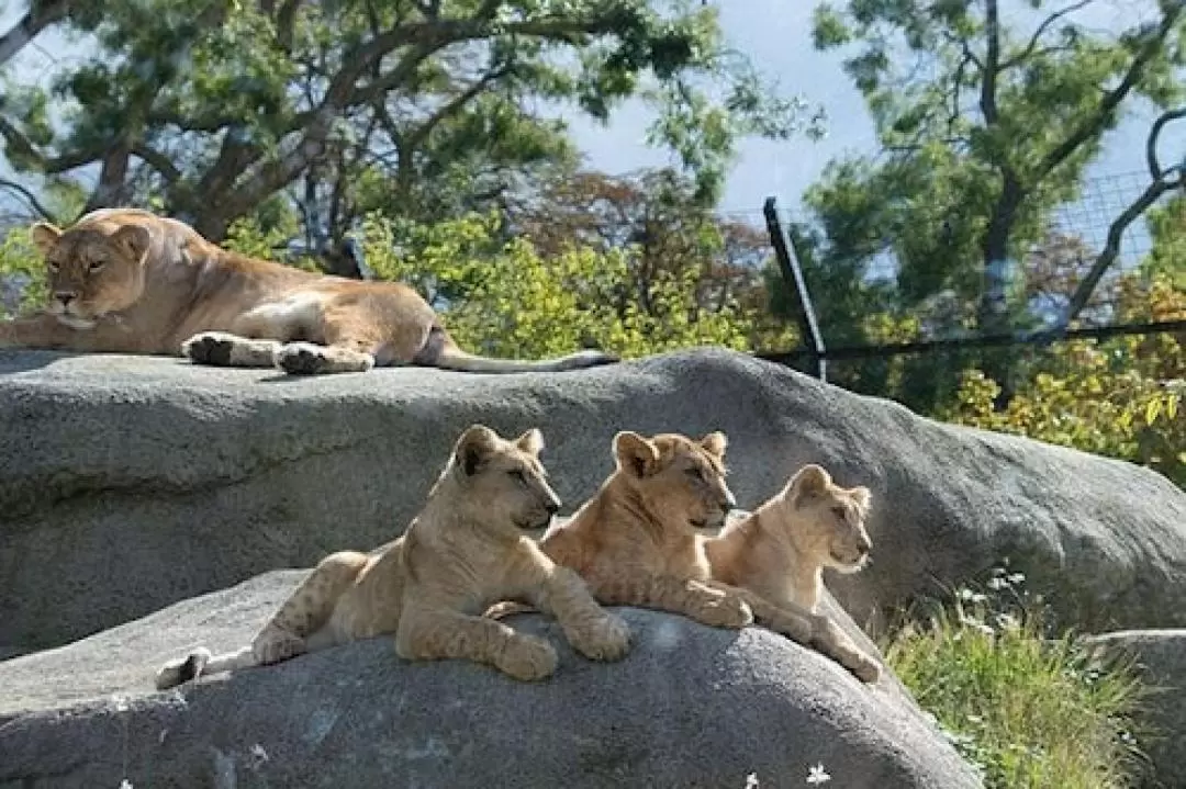 巴黎動物園門票