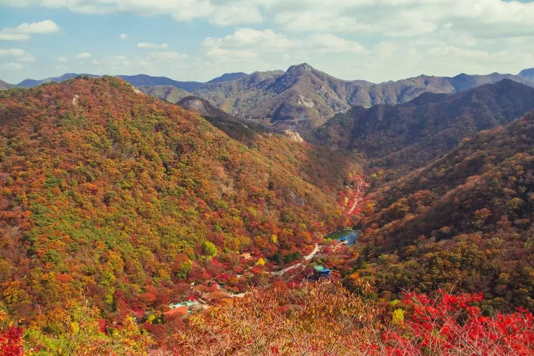 內藏山 / 雪嶽山國家公園賞楓一日遊