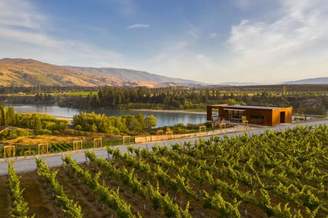 Central Otago Food & Wine Tour from Queenstown