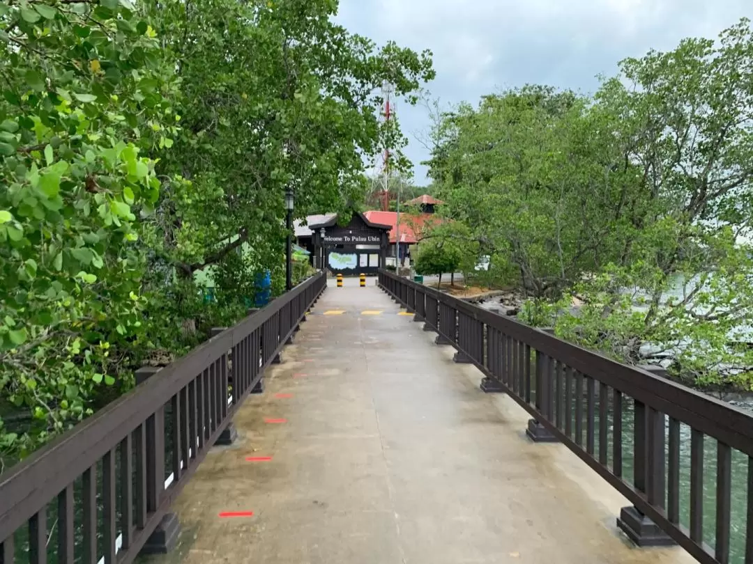 Bicycle Rental at Pulau Ubin