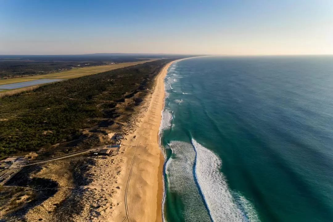 Horseback Riding Experience in Comporta and Setubal City Tour from Lisbon