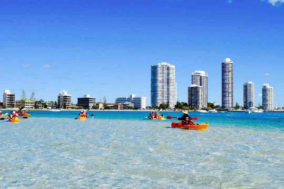 Gold Coast Kayaking & Snorkeling Tour