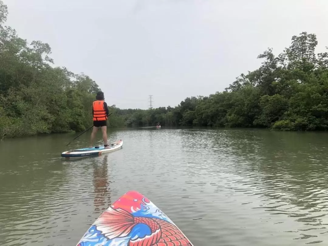 芹耶SUP半日遊