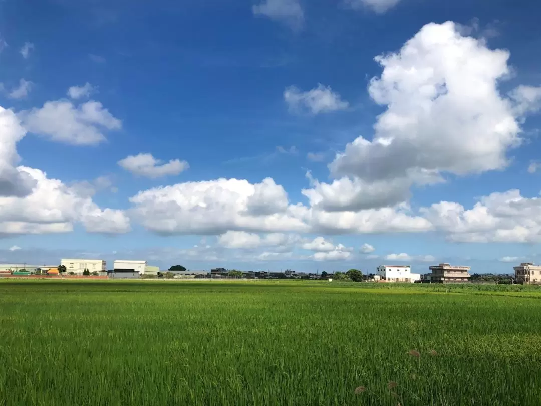 Xianghe Leisure Fish Farm Experience in Chiayi