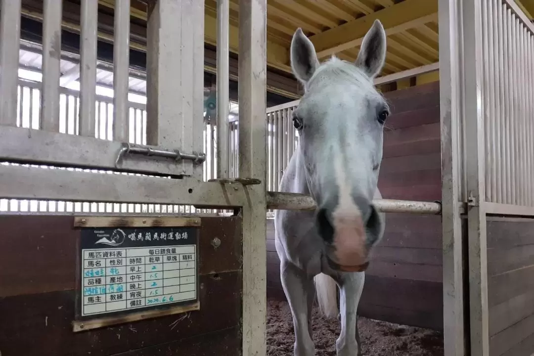 宜蘭｜噶馬蘭馬術運動場｜騎馬體驗｜戶外・河畔騎乘